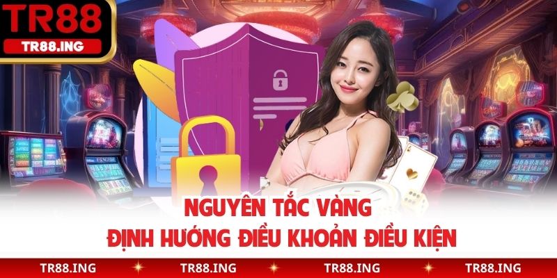 Nguyên tắc vàng định hướng điều khoản điều kiện